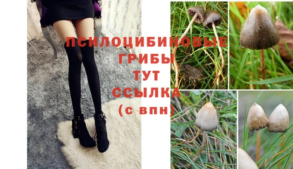 дмт Алексин