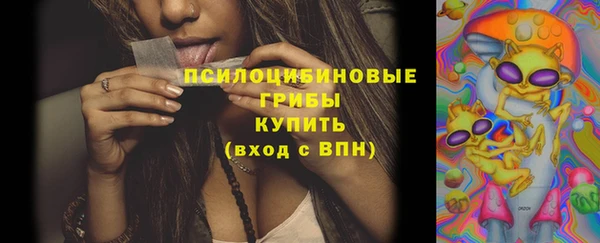 дмт Алексин